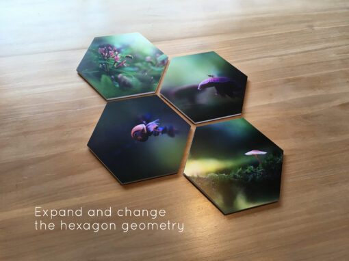Four hexagons macro photography art wall